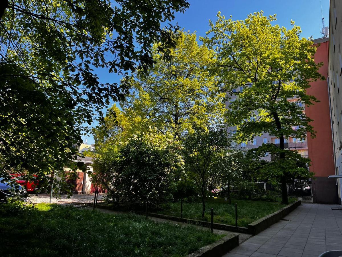 Studio Close To Royal Lazienki Park, Недалеко От Олинек Warschau Buitenkant foto